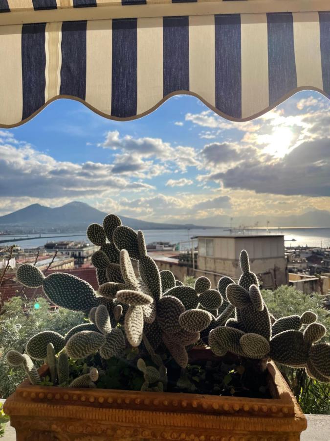 Alma De Templarsf - Stunning Design Home With Sea View And Terrace Naples Extérieur photo