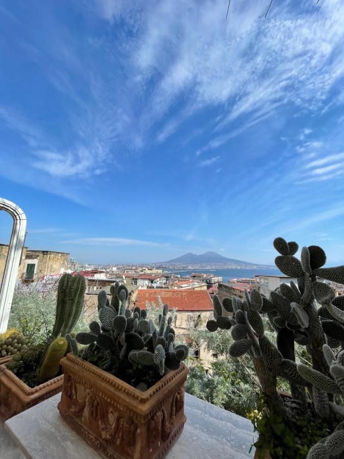 Alma De Templarsf - Stunning Design Home With Sea View And Terrace Naples Extérieur photo