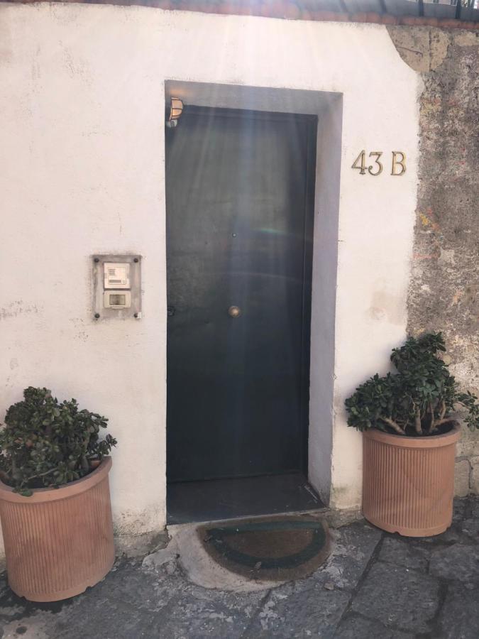 Alma De Templarsf - Stunning Design Home With Sea View And Terrace Naples Extérieur photo